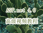 ASP.net 4.0 高级视频