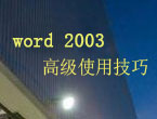 word2003高级使用技巧