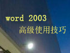 word2003高级使用技巧