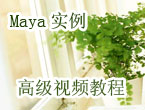 Maya 高级实例视频教程