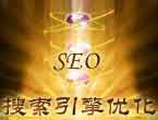 网络创业课程之SEO高级视频教程